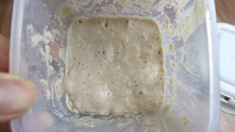 cách nuôi men sourdough